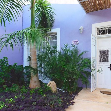 Casa Violeta Villa Mérida Eksteriør billede