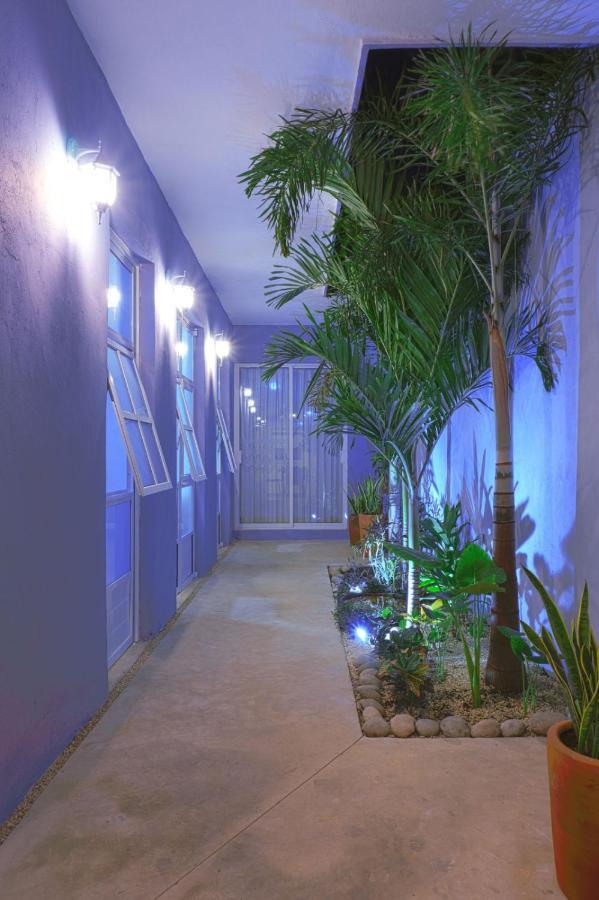Casa Violeta Villa Mérida Eksteriør billede